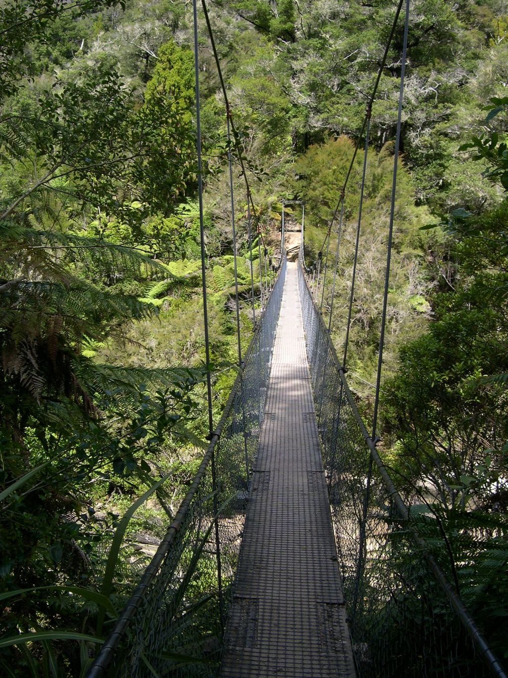 Falls River Swing Bridge, Abel Tasman National Park