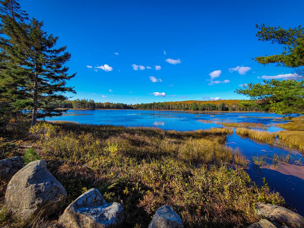 Witch Hole Pond, Acadia National Park