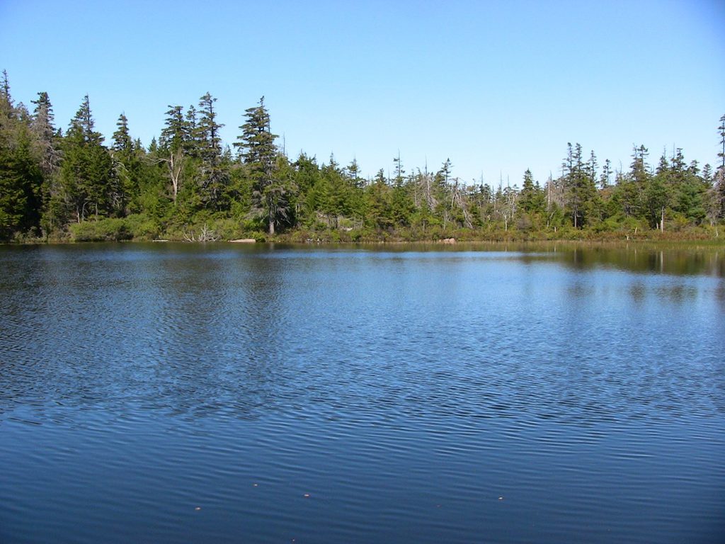 Sargent Mountain Pond, Acadia National Park