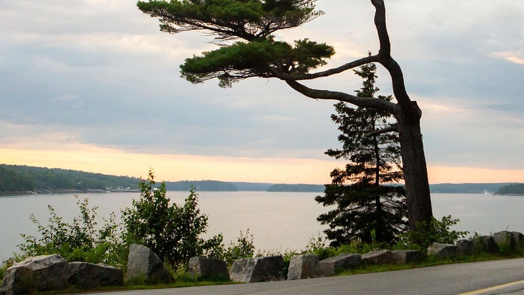 Somes Sound Overlook, Acadia National Park