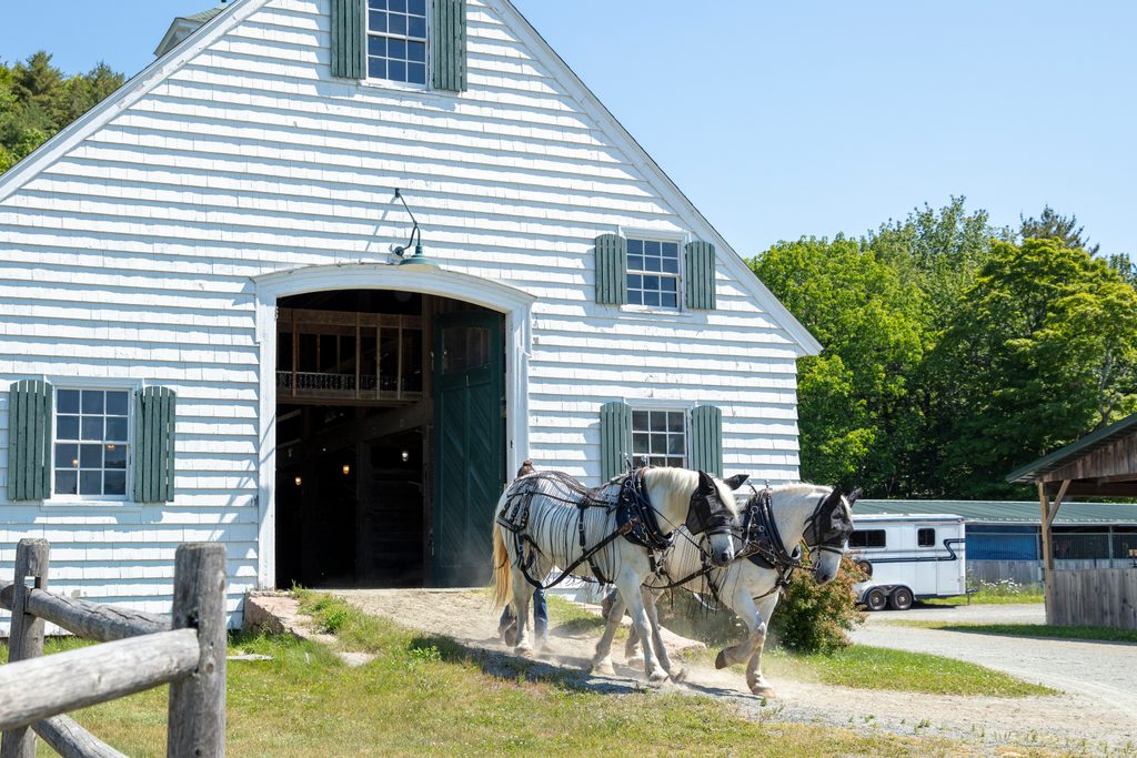 Wildwood Stables, Acadia National Park
