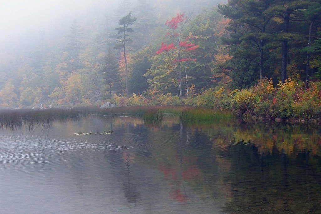 The Tarn, Acadia National Park