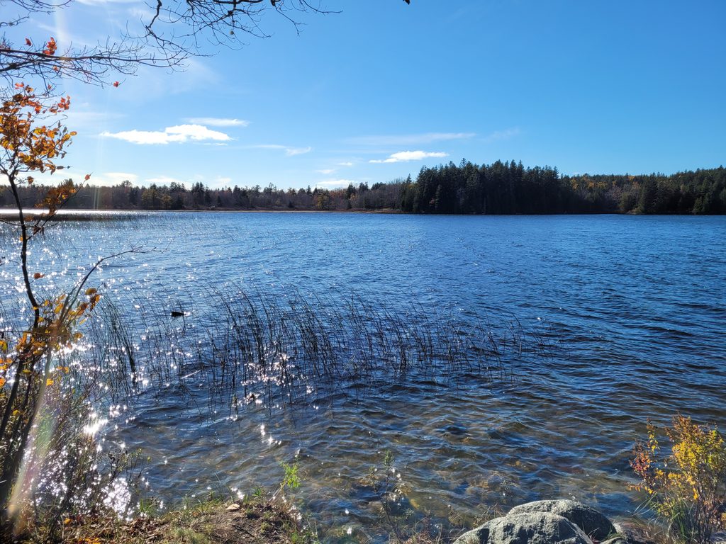 Seal Cove Pond, Acadia National Park