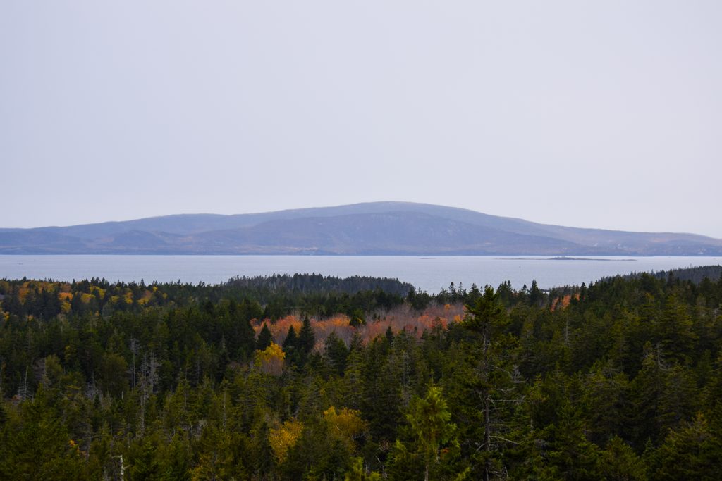 Schoodic Head, Acadia National Park