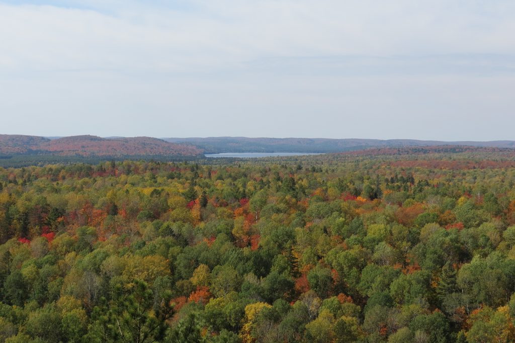 Lookout Trail Lookout, Algonquin Provincial Park