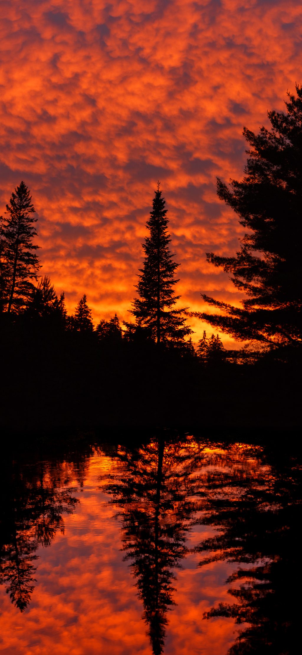 Pog Lake, Algonquin Provincial Park