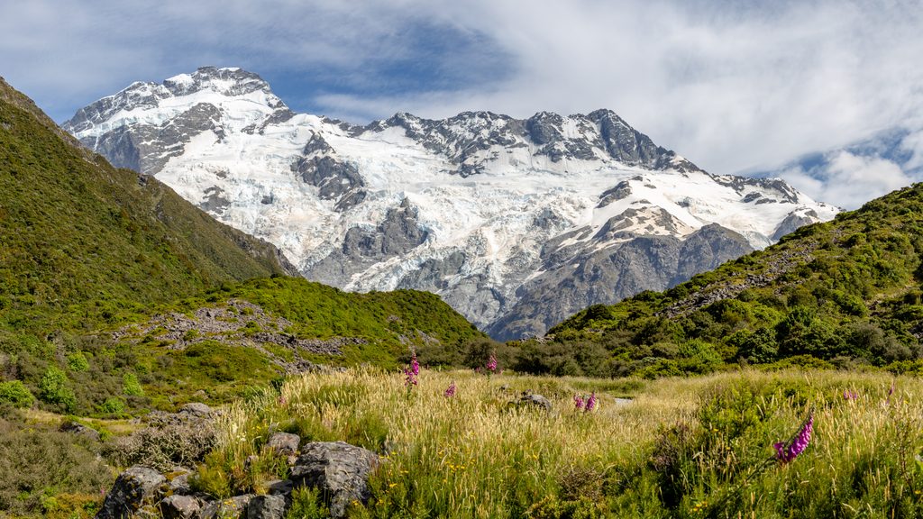 Kea Point, Aoraki / Mount Cook National Park