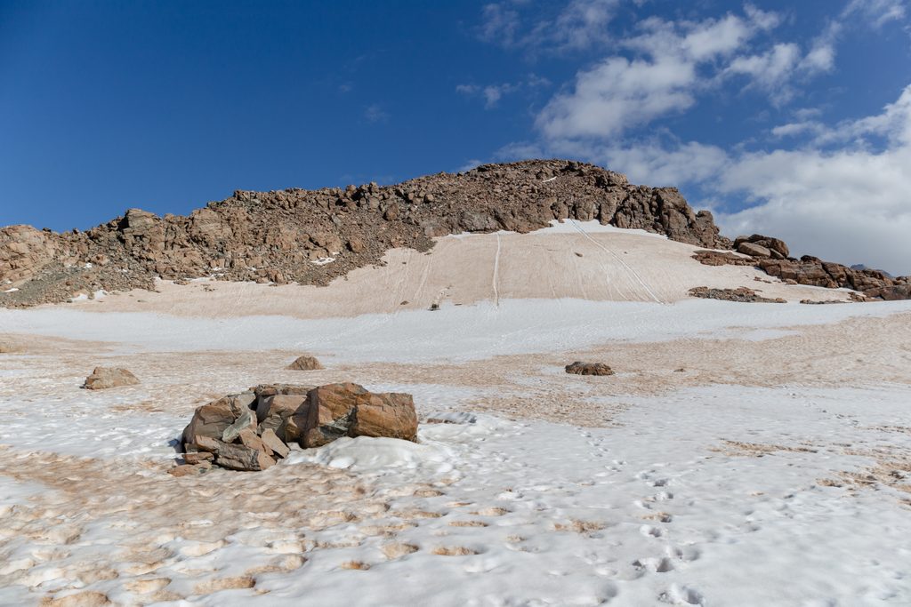 Mount Ollivier, Aoraki / Mount Cook National Park