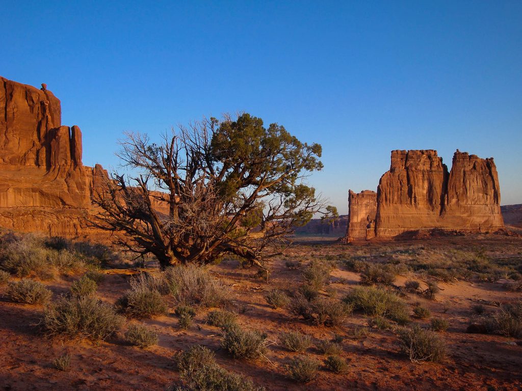 Courthouse Towers, Arches National Park