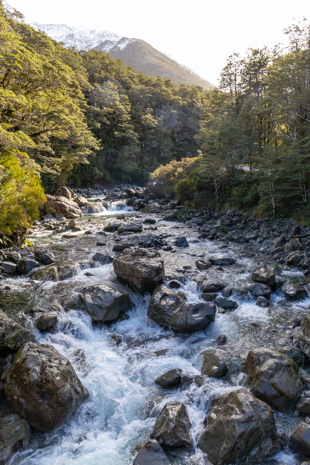 Bealey Chasm, Arthur's Pass National Park