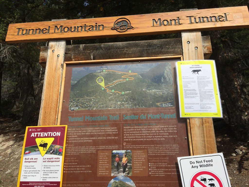 Tunnel Mountain, Banff National Park
