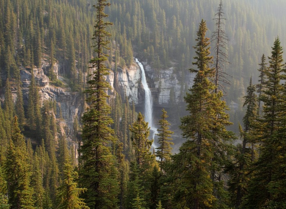 Bridal Veil Falls Viewpoint, Banff National Park