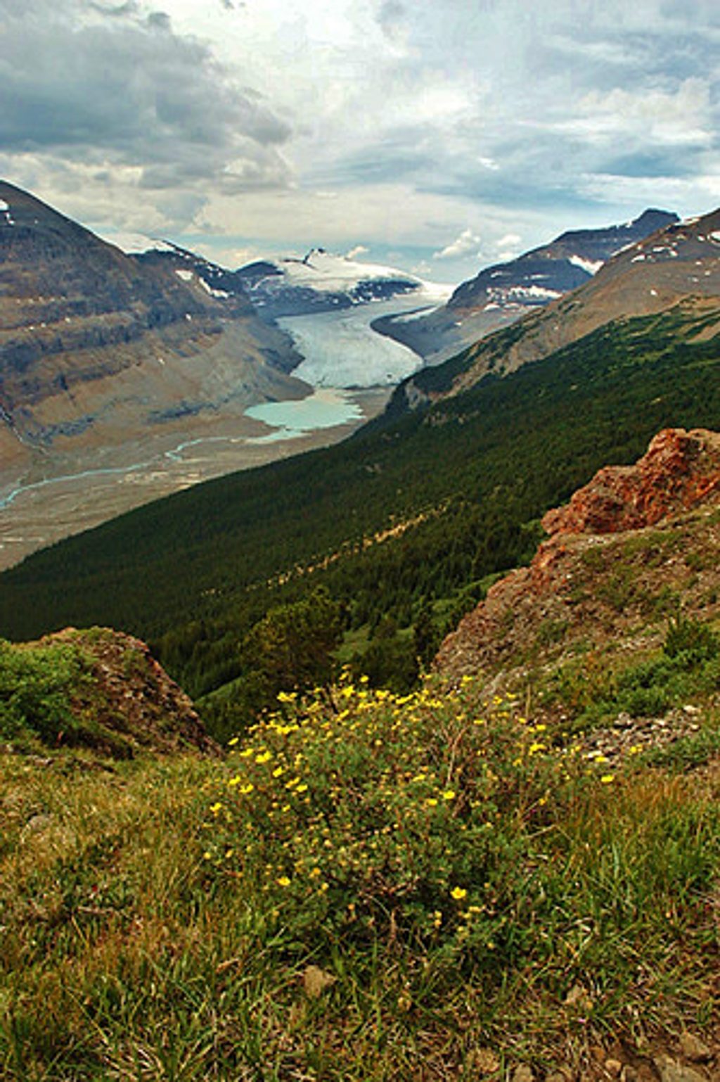 Parker Ridge, Banff National Park