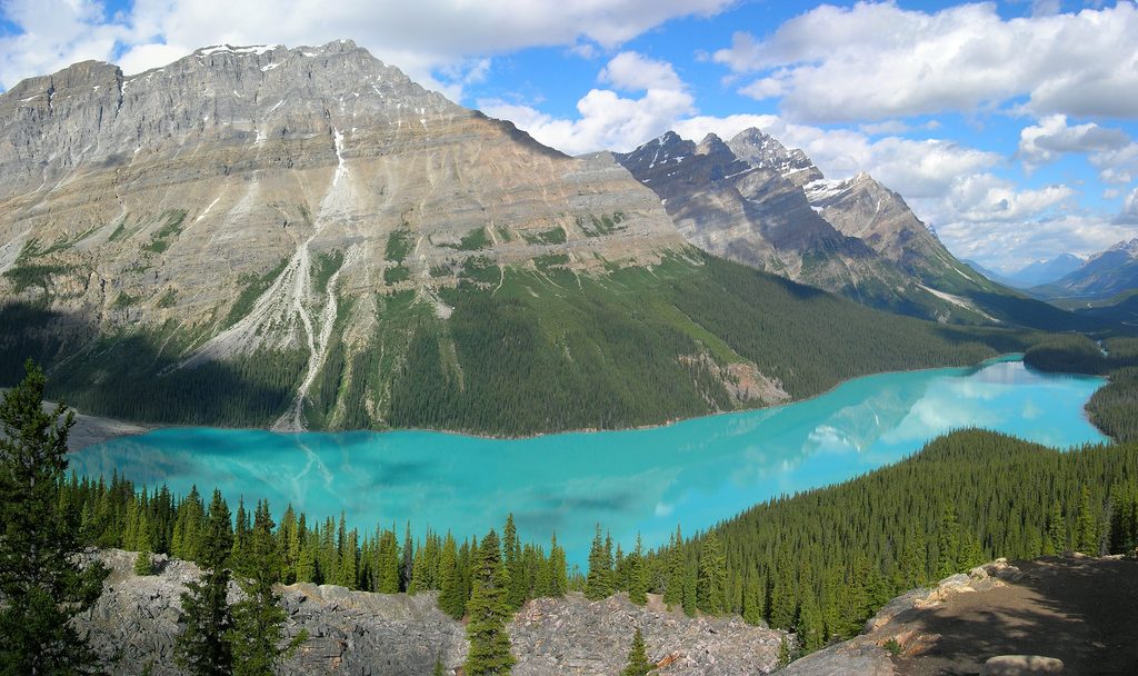 Peyto Lake Viewpoint, Banff National Park