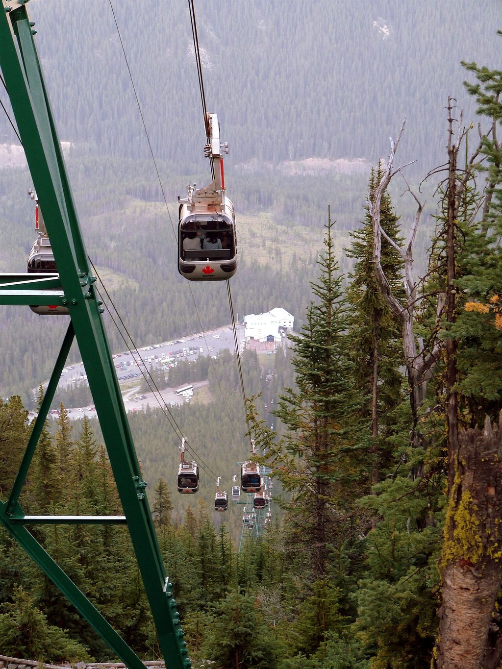Banff Gondola, Banff National Park