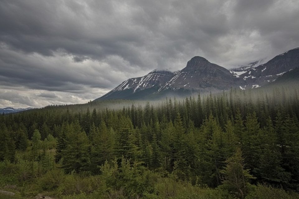 Kicking Horse Pass, Banff National Park