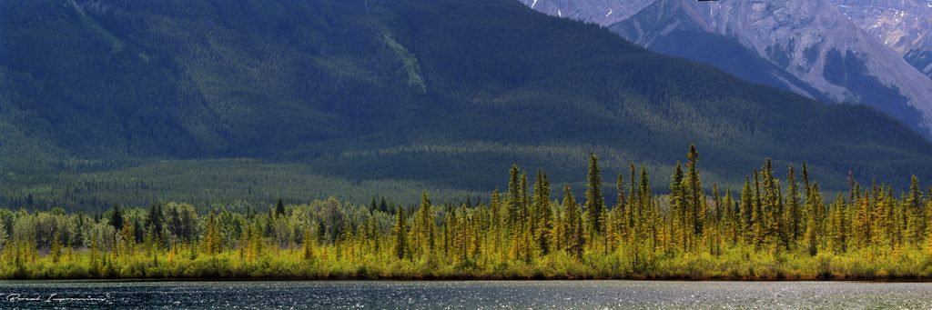 Vermilion Lakes, Banff National Park