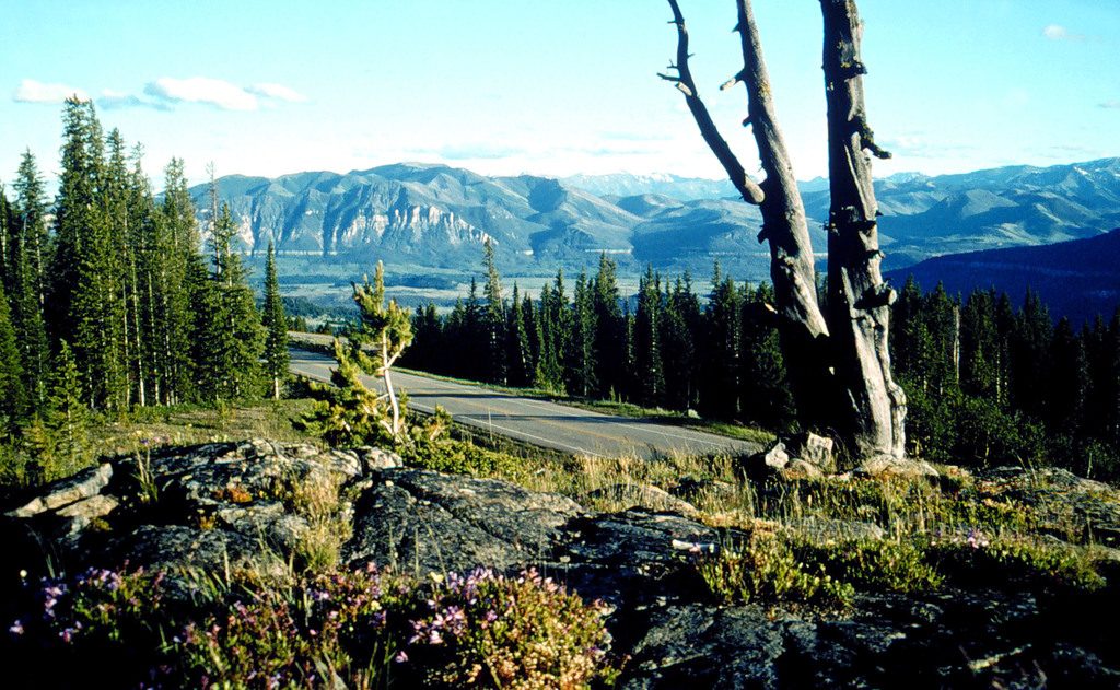 Clark's Fork Overlook, Beartooth Highway