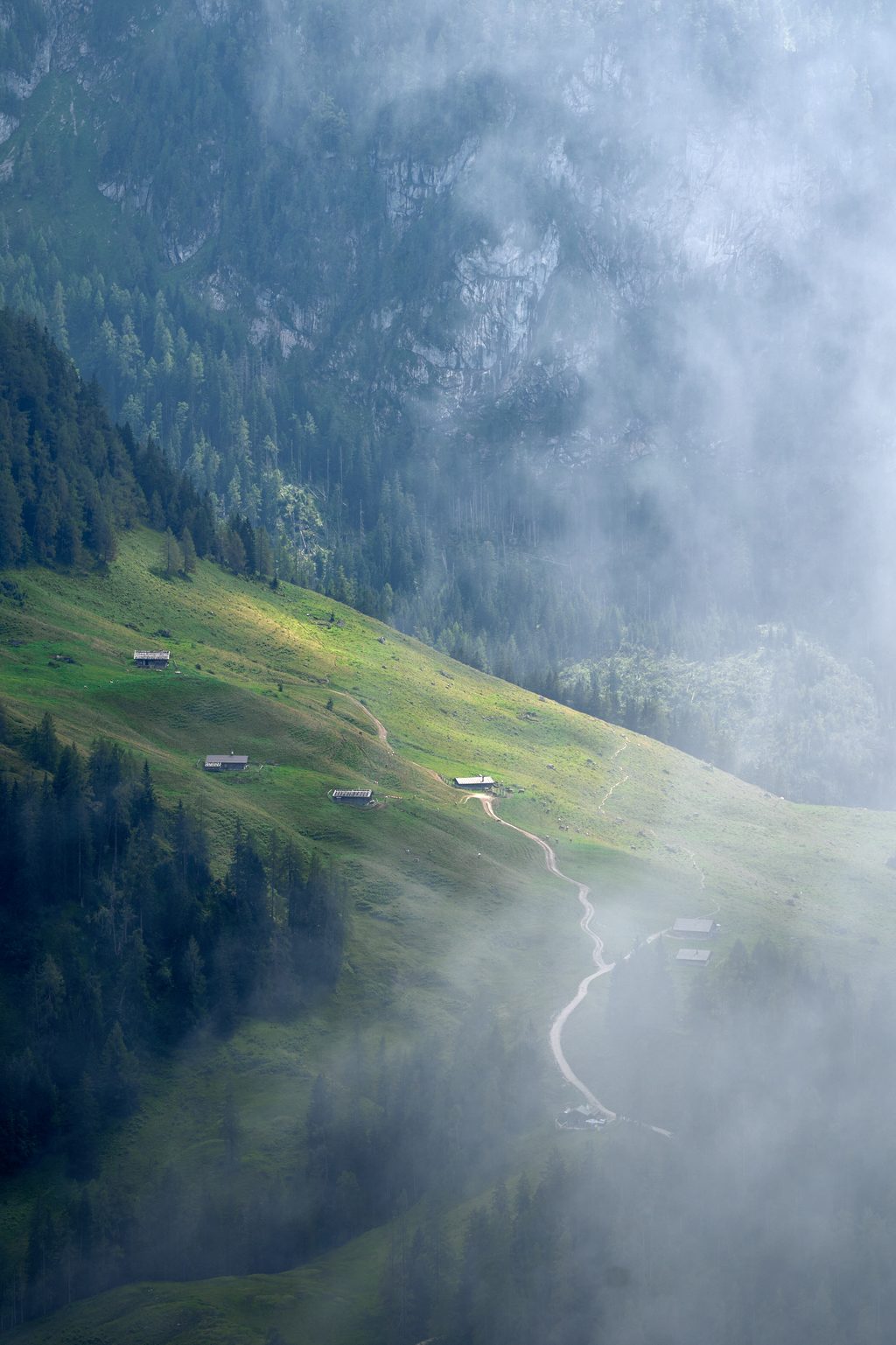 Priesbergalm, Berchtesgaden National Park