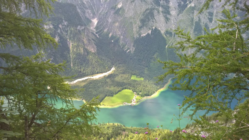 Feuerpalfen, Berchtesgaden National Park