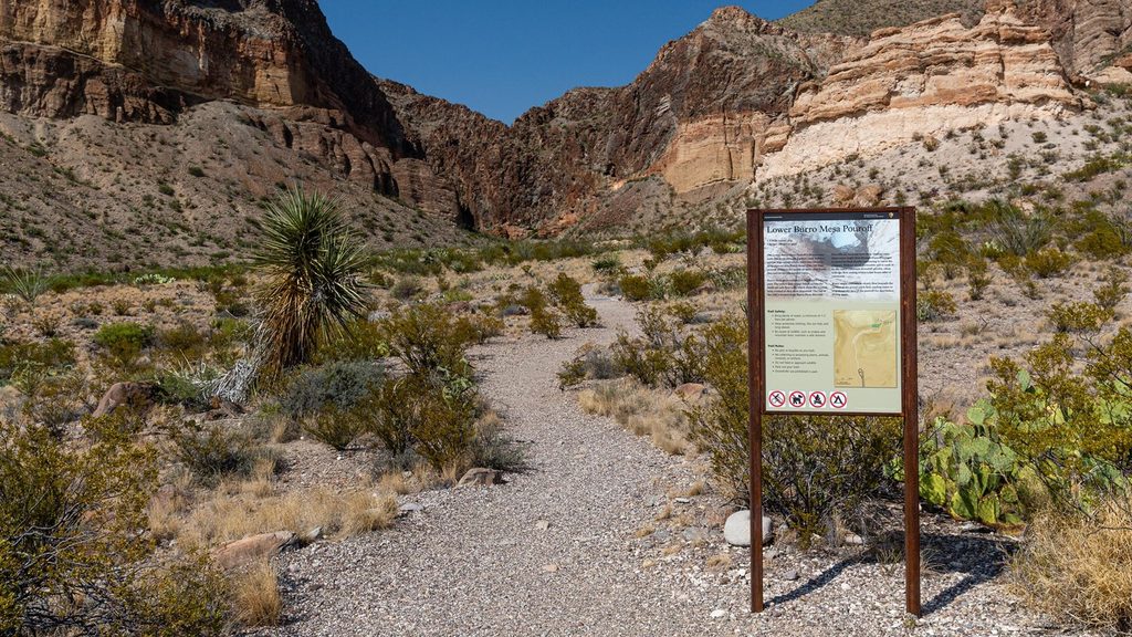 Burro Mesa Pour-off, Big Bend National Park