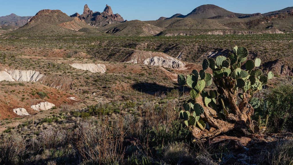 Mule Ears Overlook, Big Bend National Park