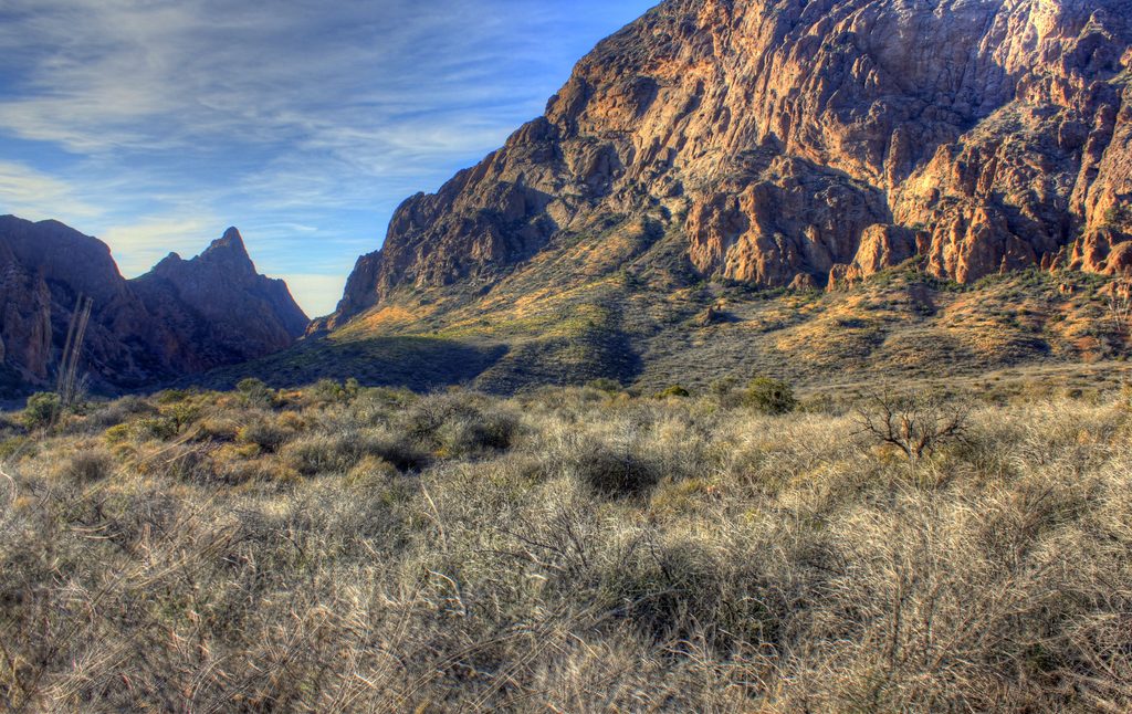 The Basin, Big Bend National Park