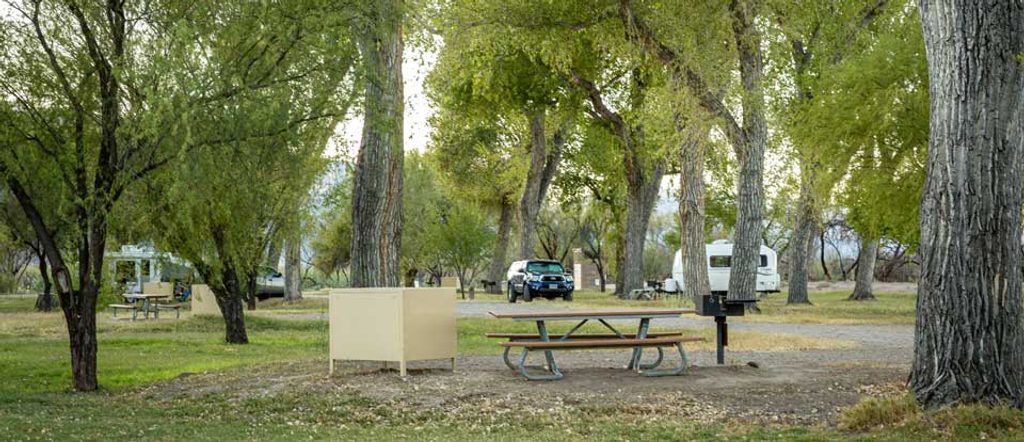Cottonwood Campground, Big Bend National Park