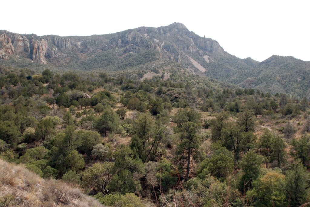 Emory Peak, Big Bend National Park