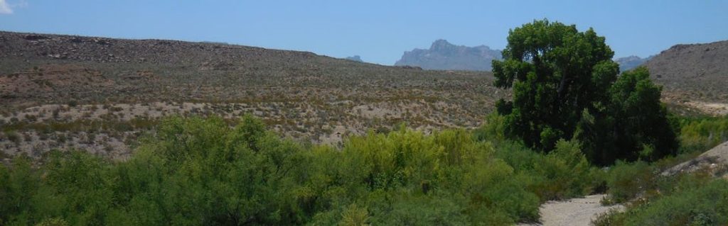 Glenn Spring, Big Bend National Park