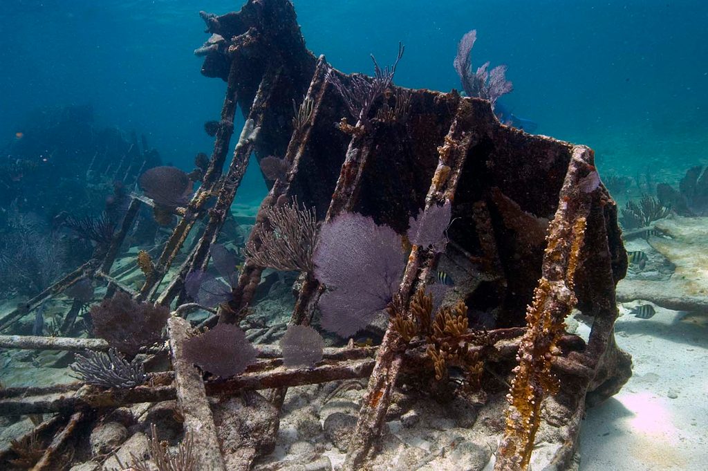Mandalay Shipwreck, Biscayne National Park