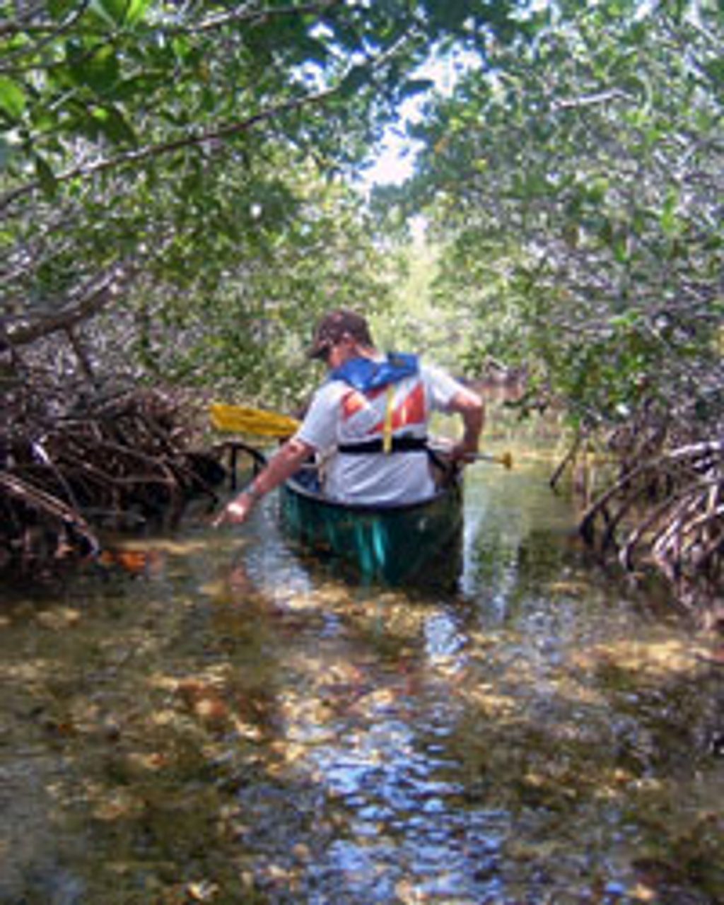 Jones Lagoon, Biscayne National Park