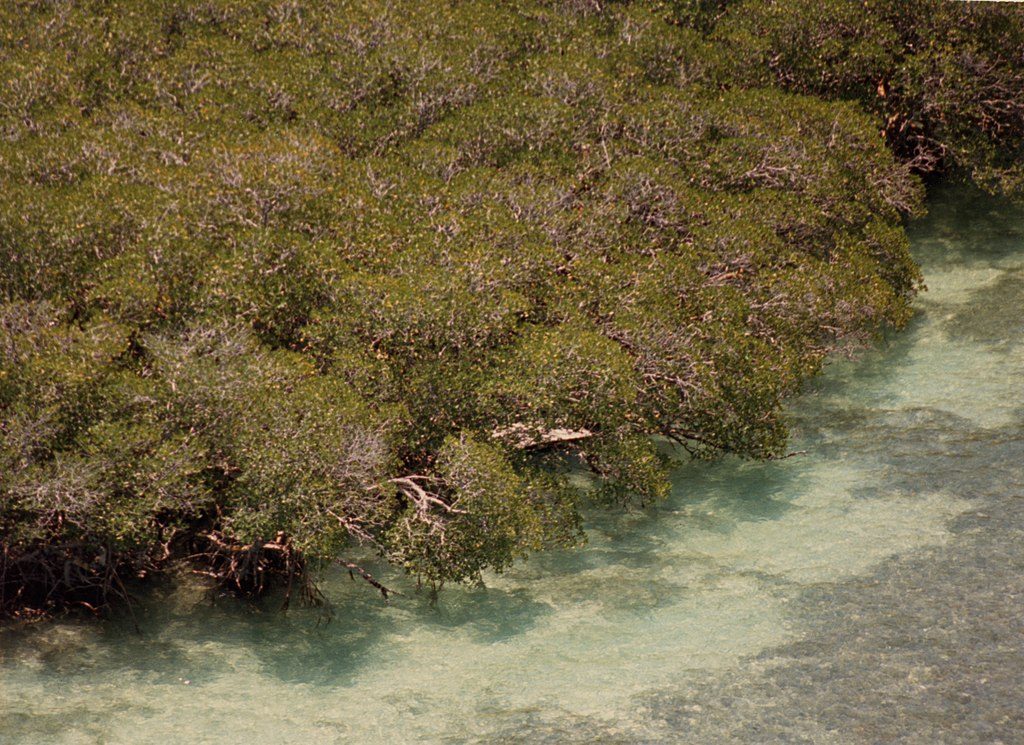 Old Rhodes Key, Biscayne National Park