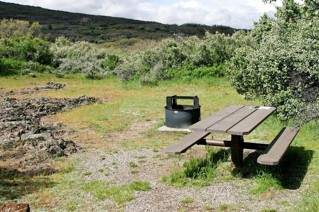 South Rim Campground, Black Canyon of the Gunnison National Park