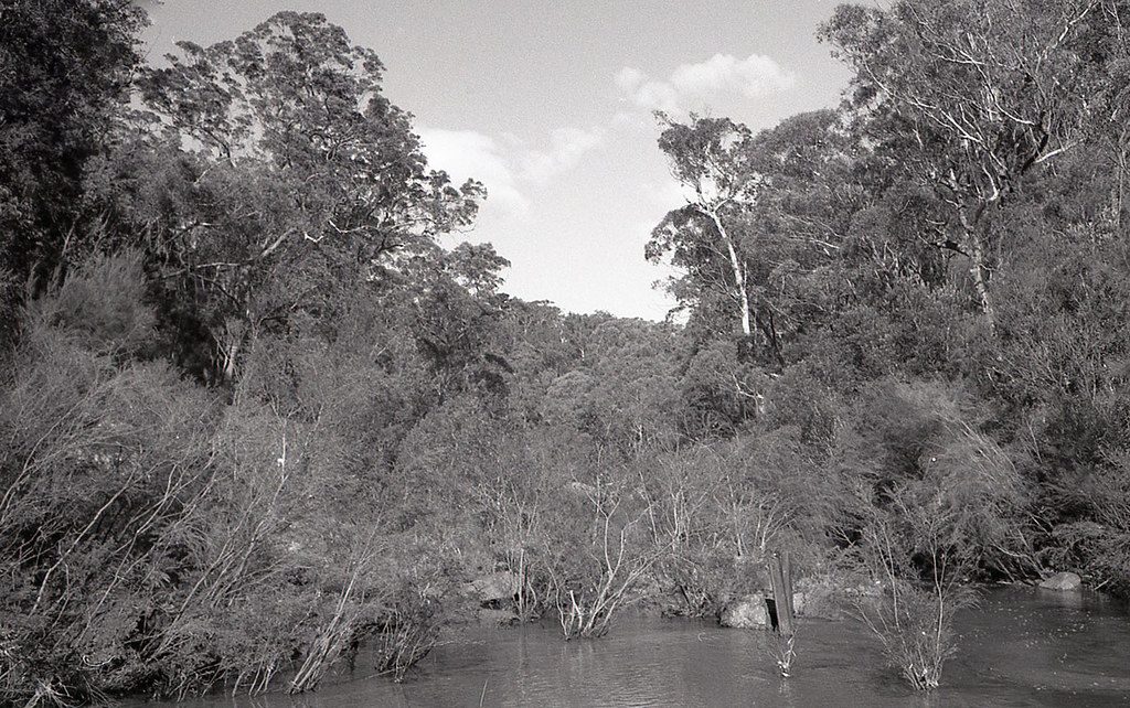 Jellybean Pool, Blue Mountains National Park