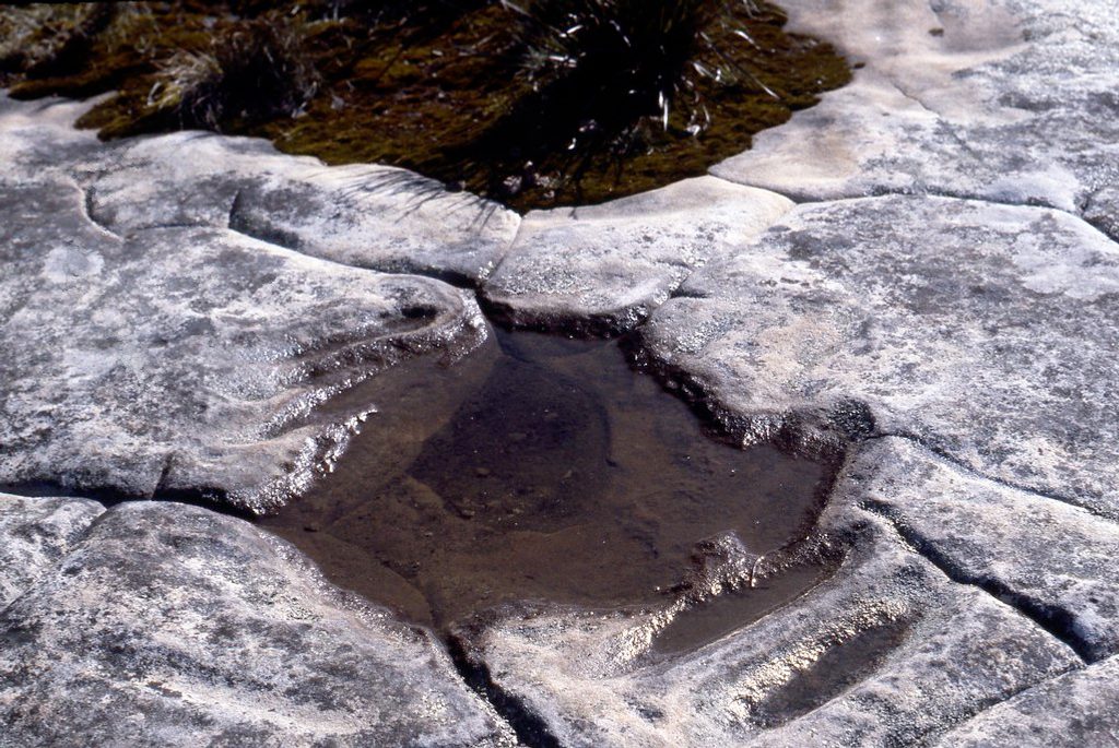 Kings Tableland Aboriginal Place, Blue Mountains National Park