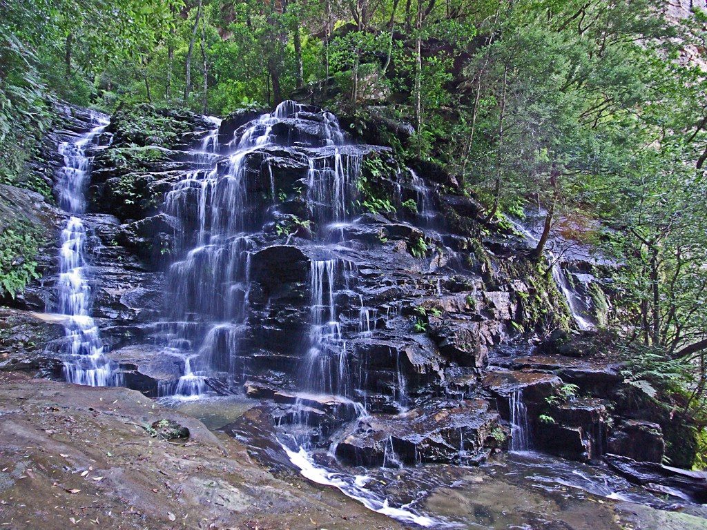 Sylvia Falls, Blue Mountains National Park