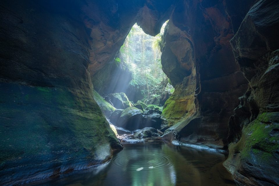 Dalpura Canyon, Blue Mountains National Park