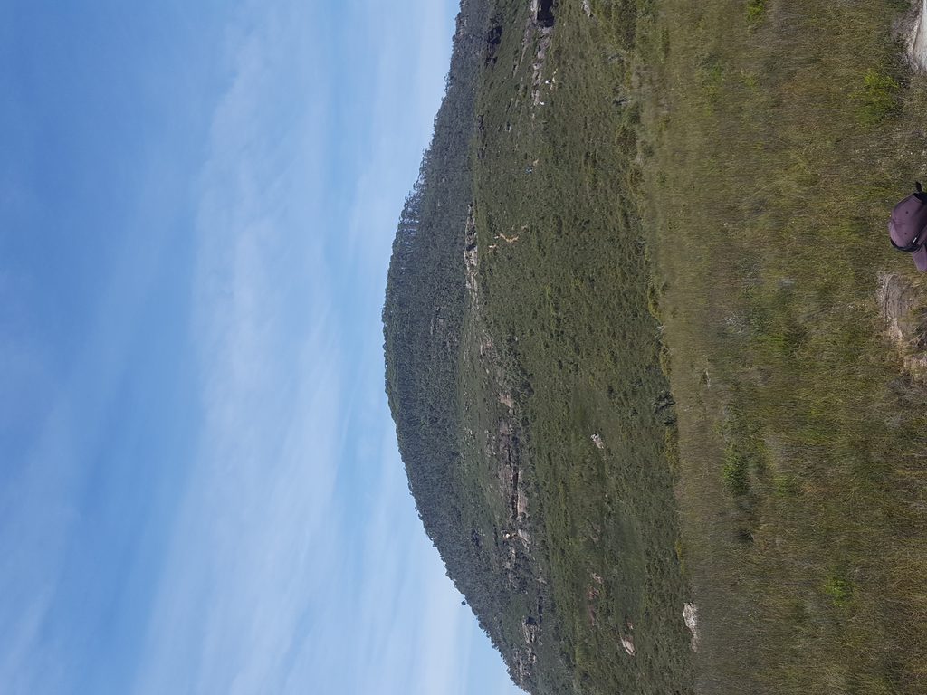 Mount Banks, Blue Mountains National Park