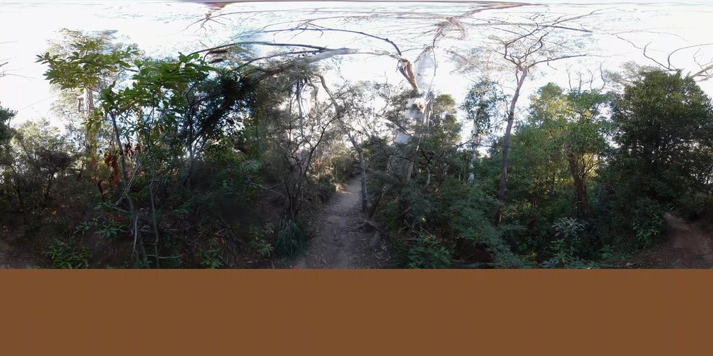 Prince Henry picnic area, Blue Mountains National Park