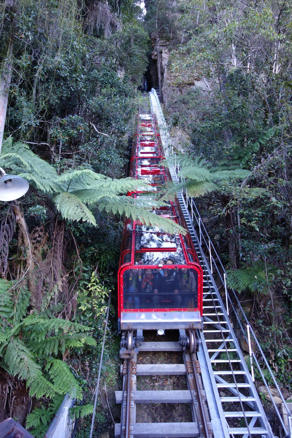 Scenic World, Blue Mountains National Park