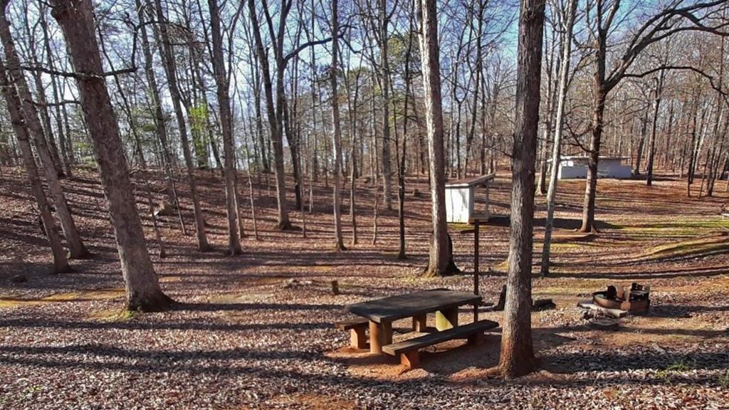 Roanoke Mountain Picnic Area, Blue Ridge Parkway