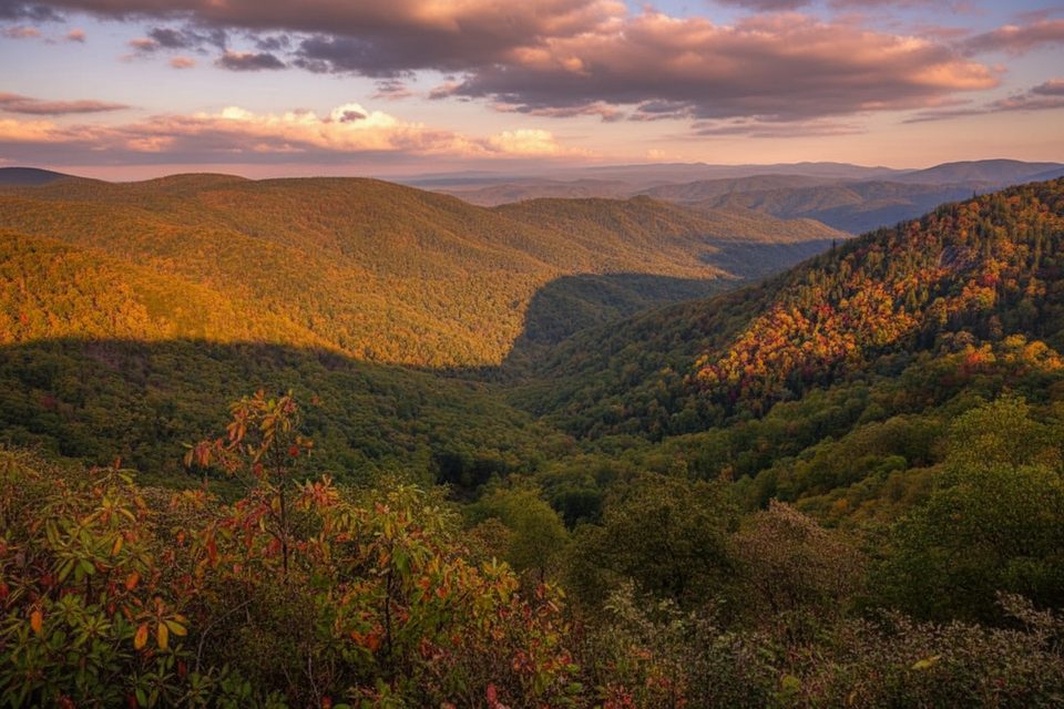 Wildcat Rocks Overlook, Blue Ridge Parkway