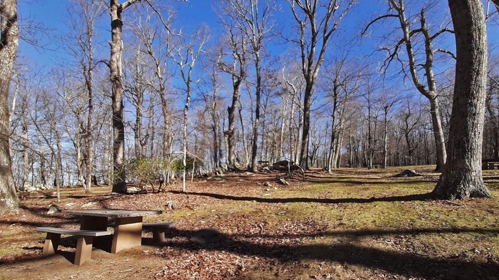 Rocky Knob Picnic Area, Blue Ridge Parkway