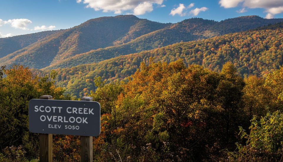 Scott Creek Overlook (MP 448.5), Blue Ridge Parkway