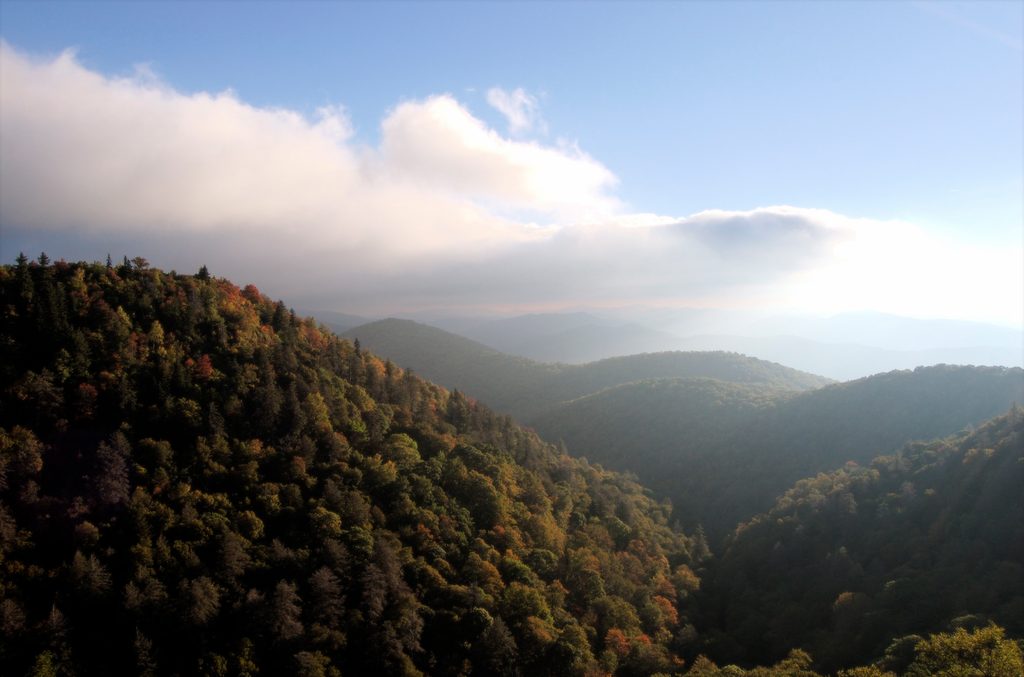 East Fork Overlook, Blue Ridge Parkway