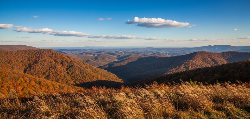 Rock Castle Gorge Overlook, Blue Ridge Parkway