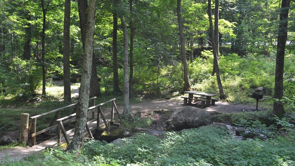 Peaks of Otter Picnic Area, Blue Ridge Parkway