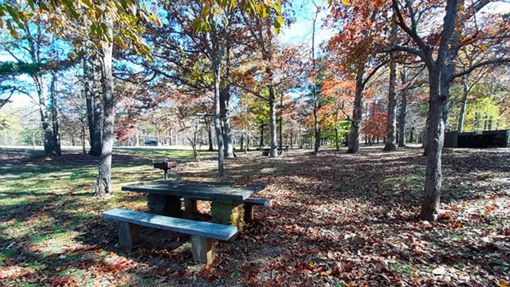 Smart View Recreation Area, Blue Ridge Parkway