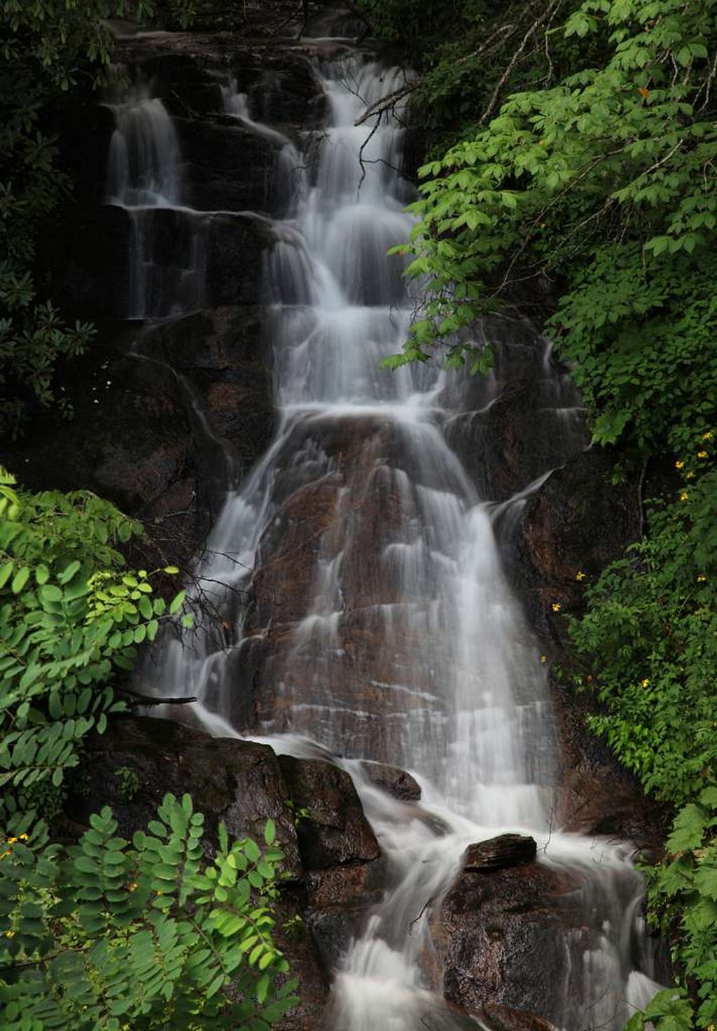 Woodfin Cascades Overlook (MP 446.7), Blue Ridge Parkway
